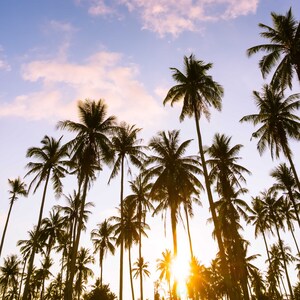 Fundraising Page: California Love